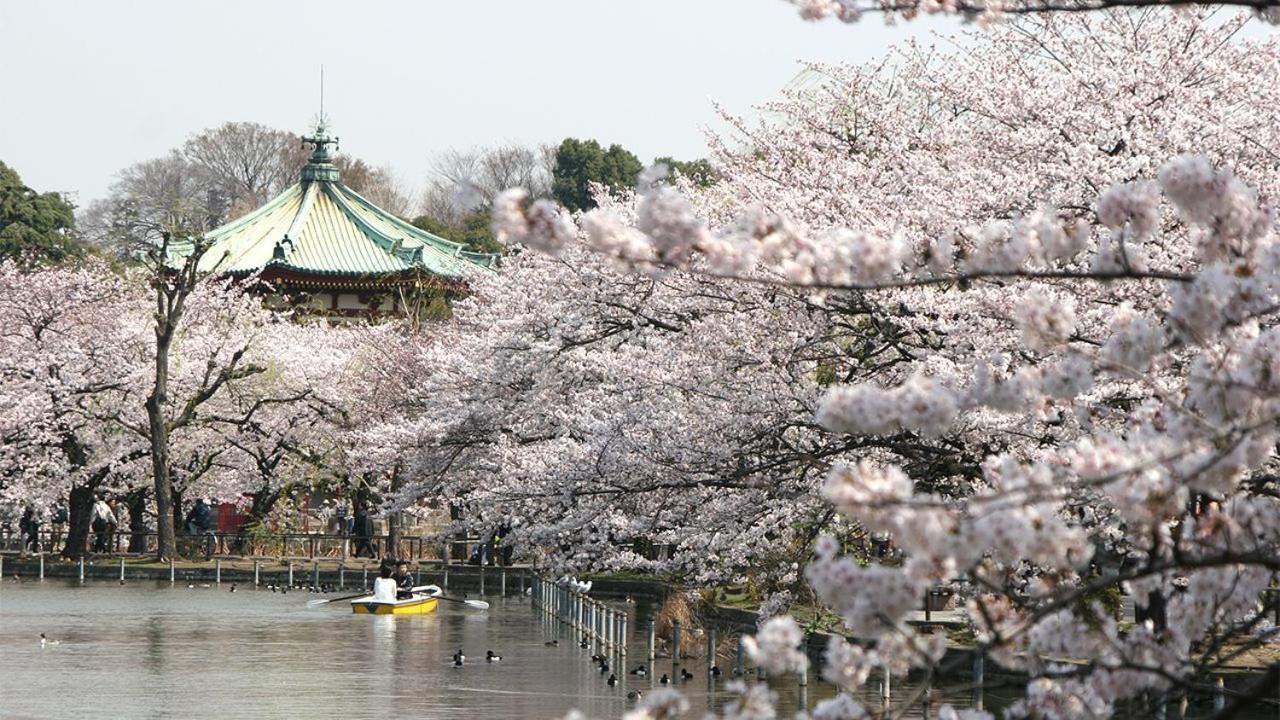 Ueno Station 7Min On Foot/Cozy Apartment/Convenient Location Токио Экстерьер фото